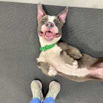 Thumbnail photo of Boo Boo #3