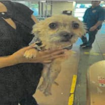 Thumbnail photo of Max A2247467 #2