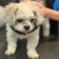 Thumbnail photo of Liz A2247308 #3