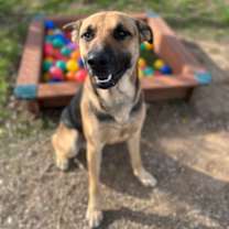 Thumbnail photo of 59943838 #1