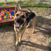 Thumbnail photo of 59943838 #2