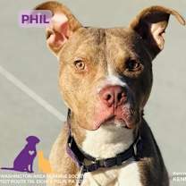 Thumbnail photo of Phil #1