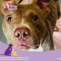 Thumbnail photo of Phil #2