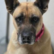 Thumbnail photo of Dory #1