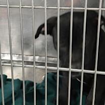 Thumbnail photo of Tokyo #2