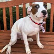 Thumbnail photo of Larry #3