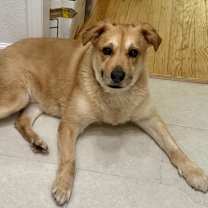 Thumbnail photo of Jumanji #2