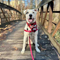 Thumbnail photo of June #1