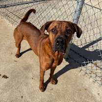 Thumbnail photo of Bubba #1