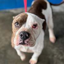 Thumbnail photo of Merci #1