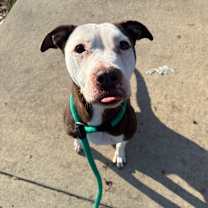 Thumbnail photo of Coconut #1