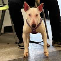 Thumbnail photo of Fonda #2