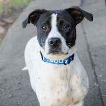 Thumbnail photo of SPRINKLES #3