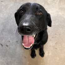 Thumbnail photo of LUCKY #3