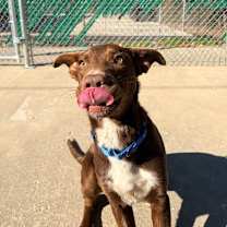 Thumbnail photo of Bernie #4