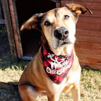 Thumbnail photo of Gilly #1