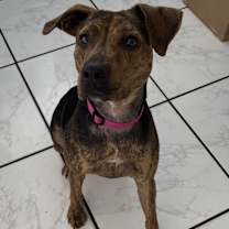 Thumbnail photo of Wanda #1