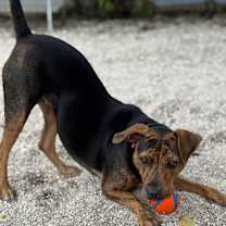 Thumbnail photo of Wanda #2