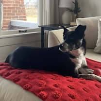 Thumbnail photo of Cleo #4