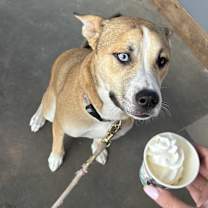 Thumbnail photo of Winnie #1