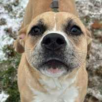 Thumbnail photo of Bendita #1