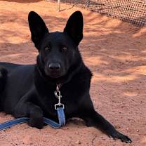 Thumbnail photo of Tutu Mcfoo #2