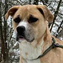 Thumbnail photo of Bendita #2