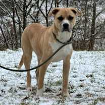 Thumbnail photo of Bendita #3