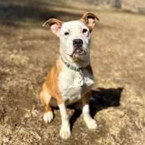 Thumbnail photo of Axl #2