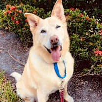 Thumbnail photo of Willie #1