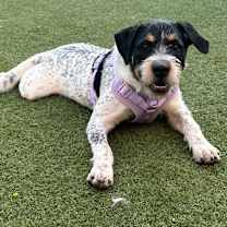 Thumbnail photo of Cam now opie  #2