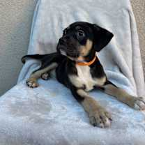 Thumbnail photo of Stan #2