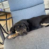 Thumbnail photo of Stan #3