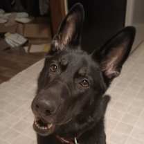 Thumbnail photo of Zara #1