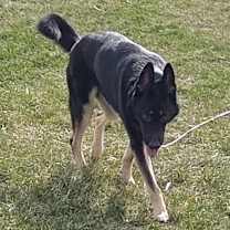 Thumbnail photo of Zara #2