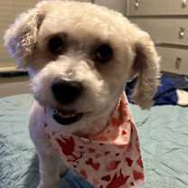 Thumbnail photo of Agent Peggy Carter (Carter) #3