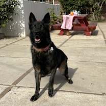 Thumbnail photo of Luna #1