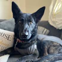 Thumbnail photo of Luna #2