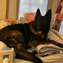 Thumbnail photo of Luna #3