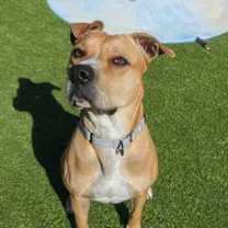 Thumbnail photo of Clarice - 2 #3