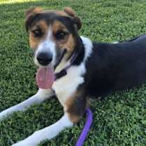 Thumbnail photo of JANE #1