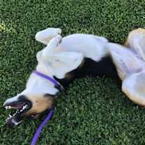 Thumbnail photo of JANE #2