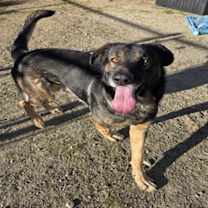 Thumbnail photo of ALBERT #2