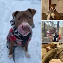 Thumbnail photo of Indy #4