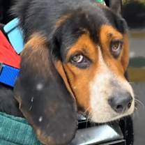 Thumbnail photo of Stash Henson #3