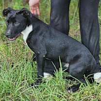 Thumbnail photo of Link #2