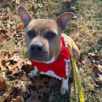 Thumbnail photo of Brunswick stew #1