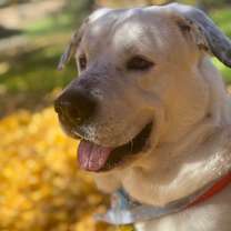 Thumbnail photo of Xaden #3