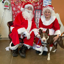 Thumbnail photo of Sweetie #1