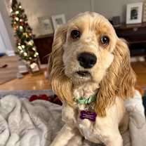 Thumbnail photo of Frannie #1